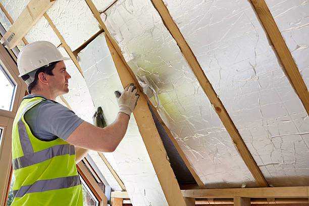 Best Insulation Maintenance and Repair in Alafaya, FL