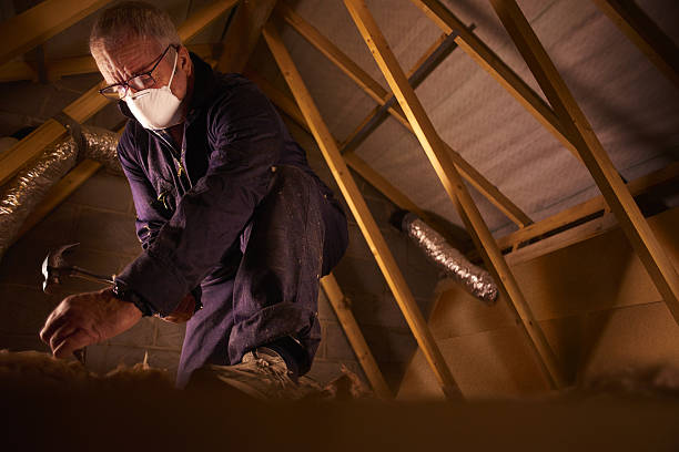 Best Insulation Installation Services in Alafaya, FL